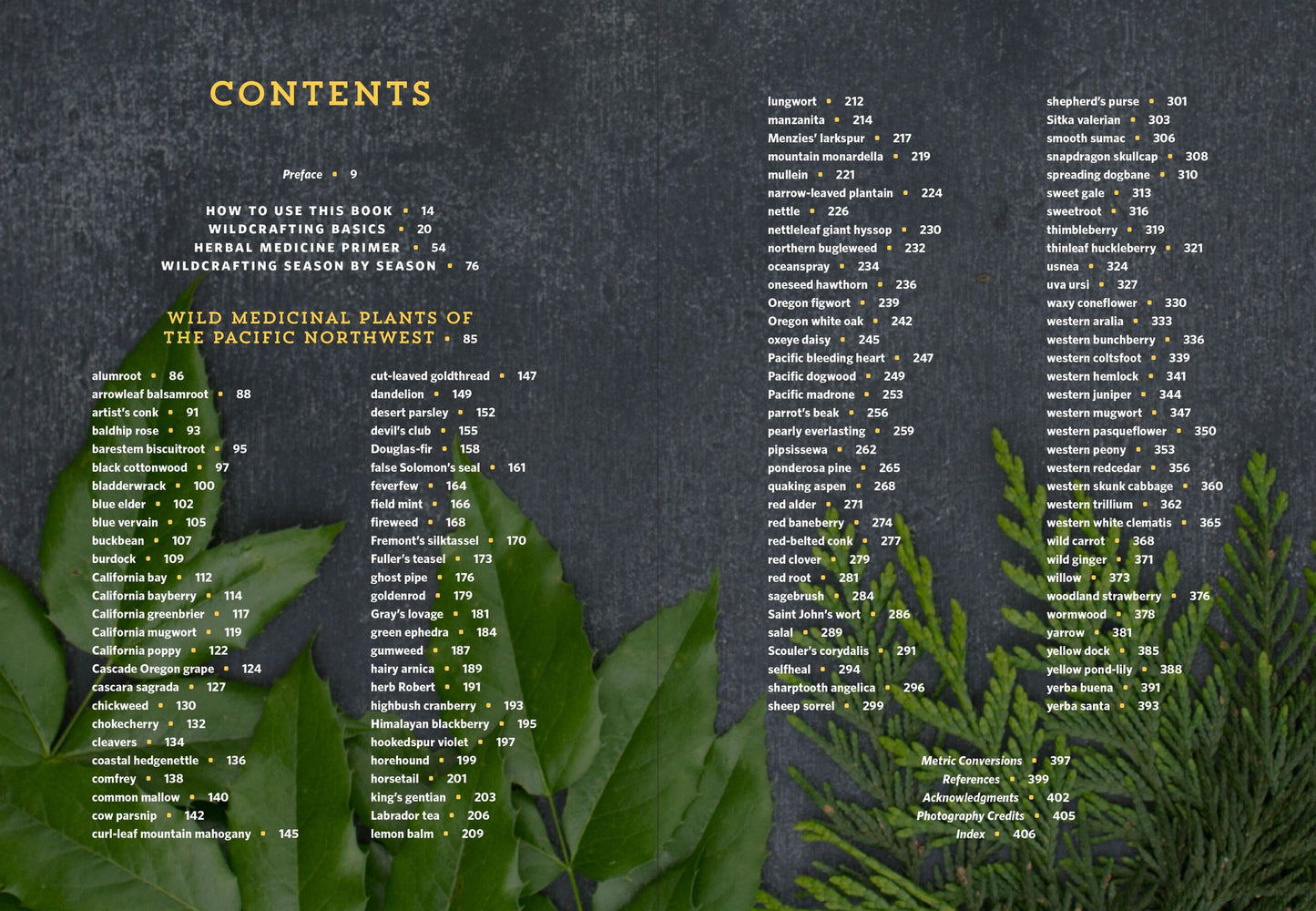 Pacific Northwest Medicinal Plants: Identify, Harvest, and Use 120 Wild Herbs for Health and Wellness