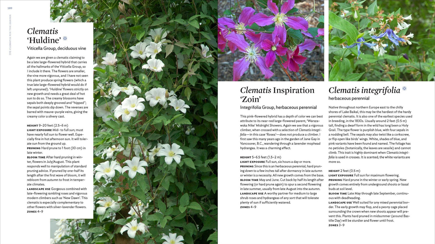 The Plant Lover's Guide to Clematis