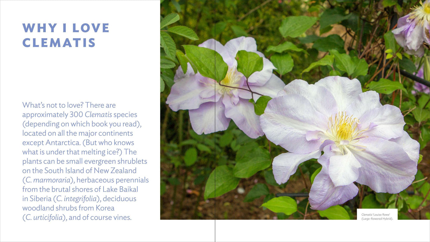 The Plant Lover's Guide to Clematis