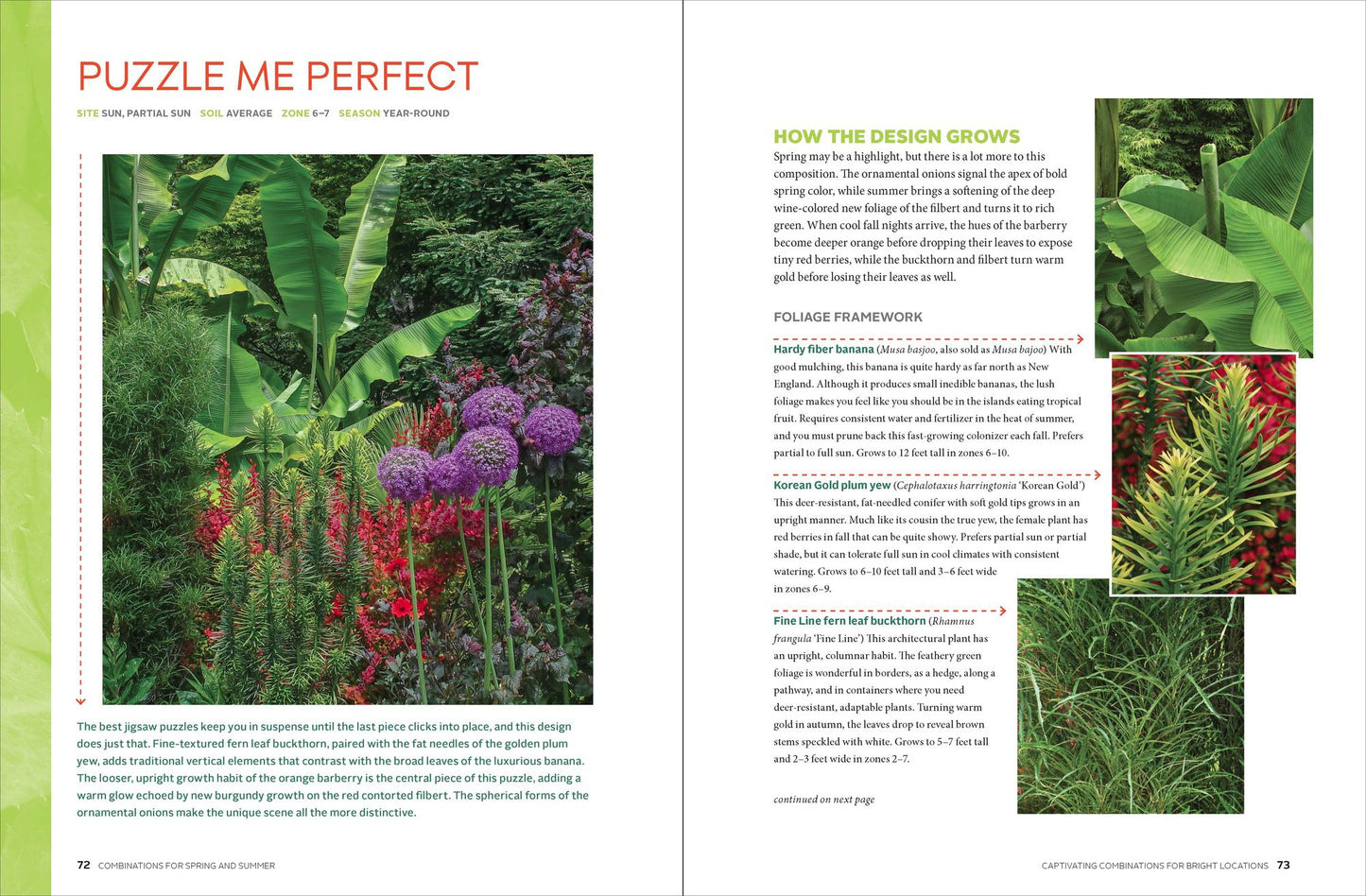 Gardening with Foliage First: 127 Dazzling Combinations That Pair the Beauty of Leaves with Flowers, Bark, Berries, and More