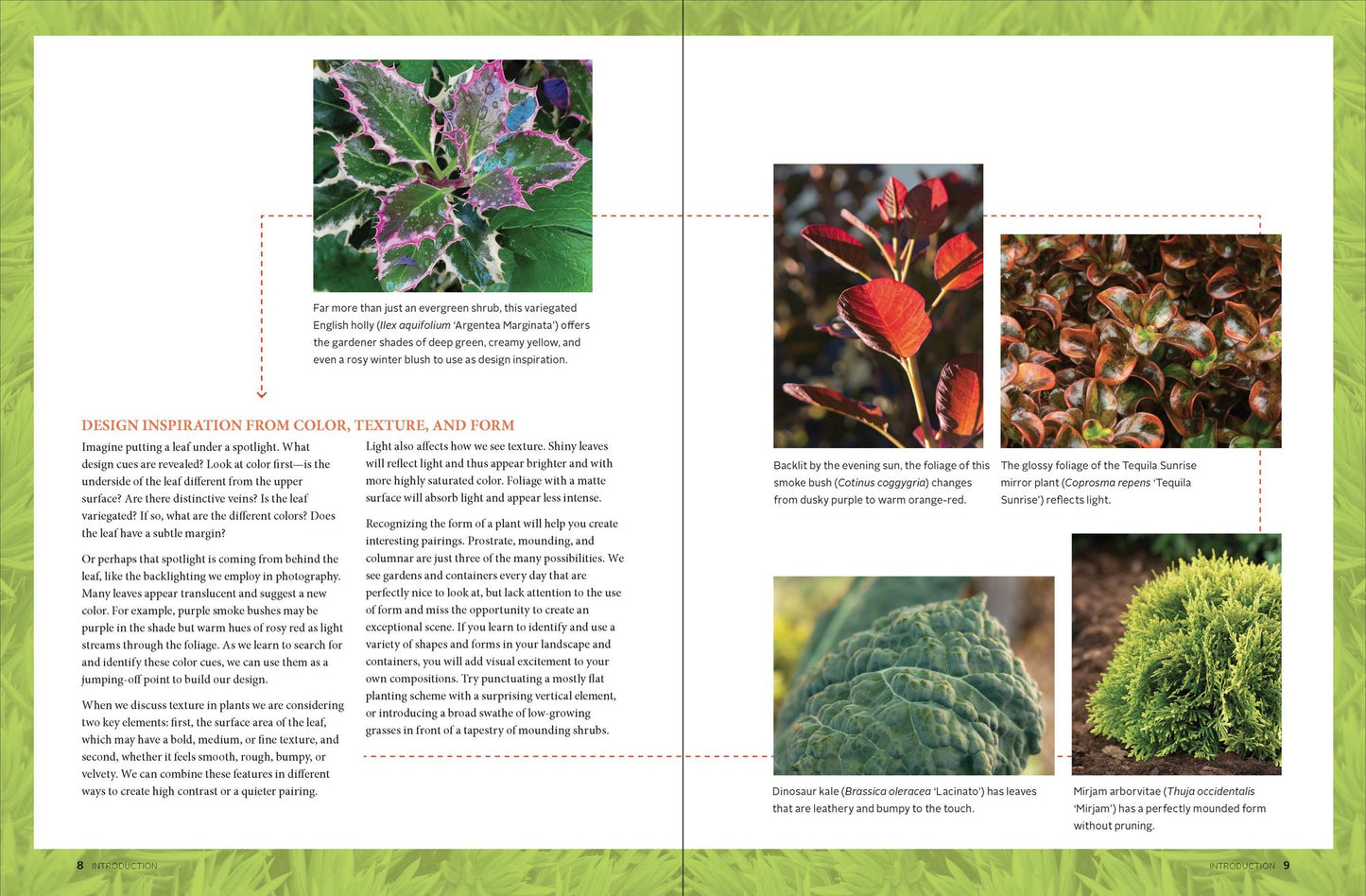 Gardening with Foliage First: 127 Dazzling Combinations That Pair the Beauty of Leaves with Flowers, Bark, Berries, and More