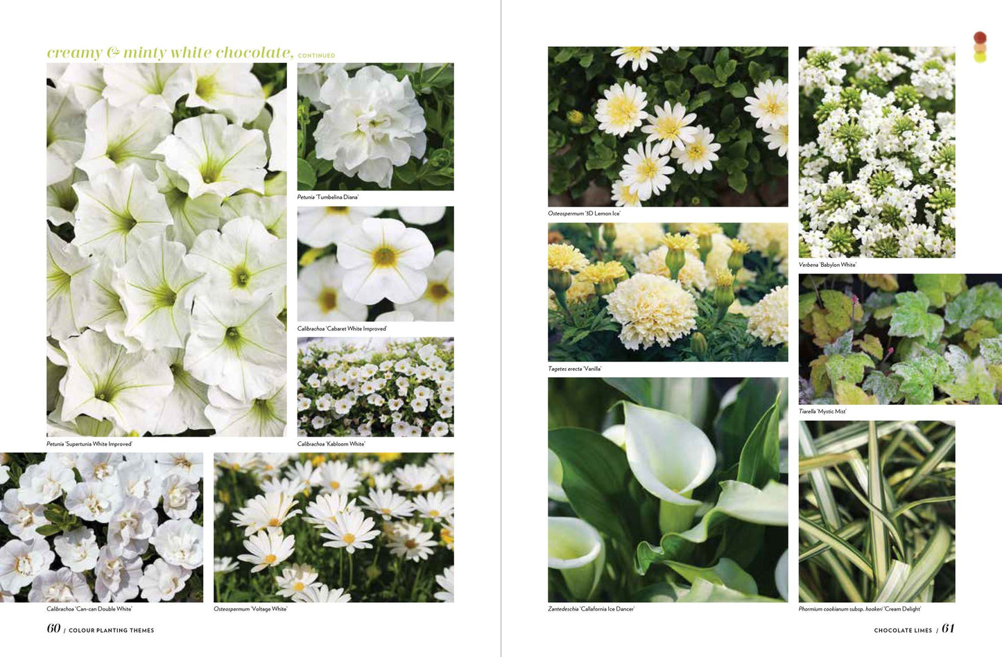 The Flower-Powered Garden: Supercharge Your Borders and Containers with Bold, Colourful Plant Combinations