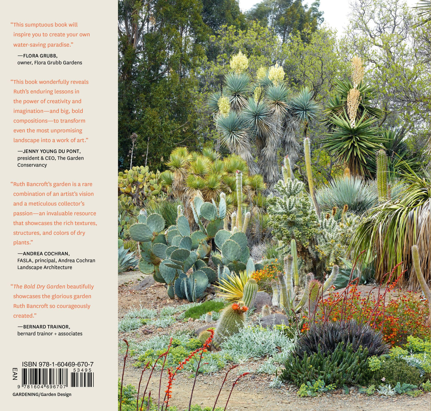 The Bold Dry Garden: Lessons from the Ruth Bancroft Garden