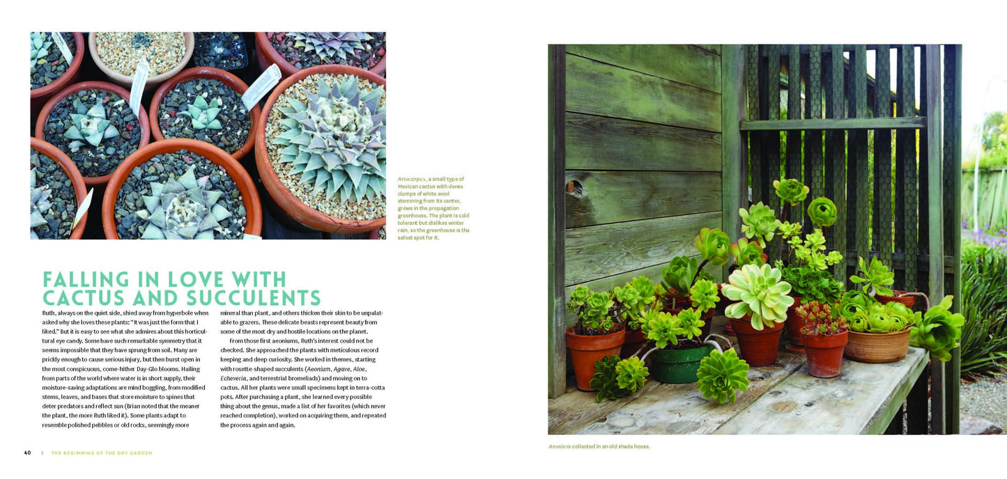 The Bold Dry Garden: Lessons from the Ruth Bancroft Garden