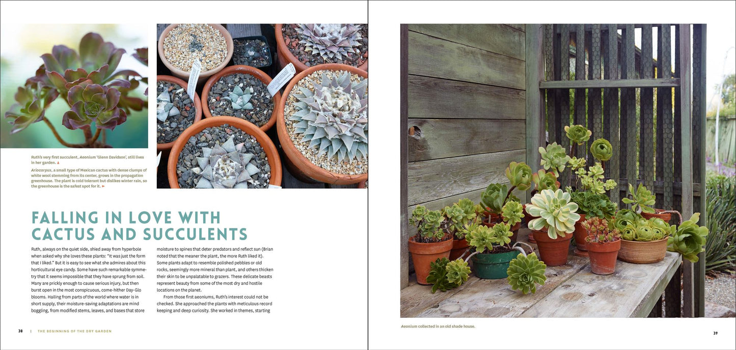 The Bold Dry Garden: Lessons from the Ruth Bancroft Garden