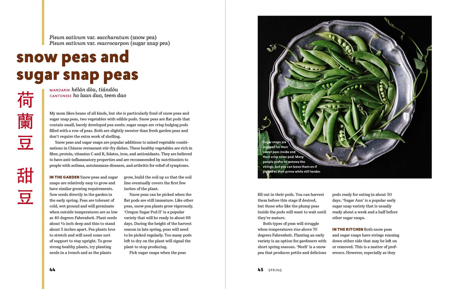 The Chinese Kitchen Garden: Growing Techniques and Family Recipes from a Classic Cuisine