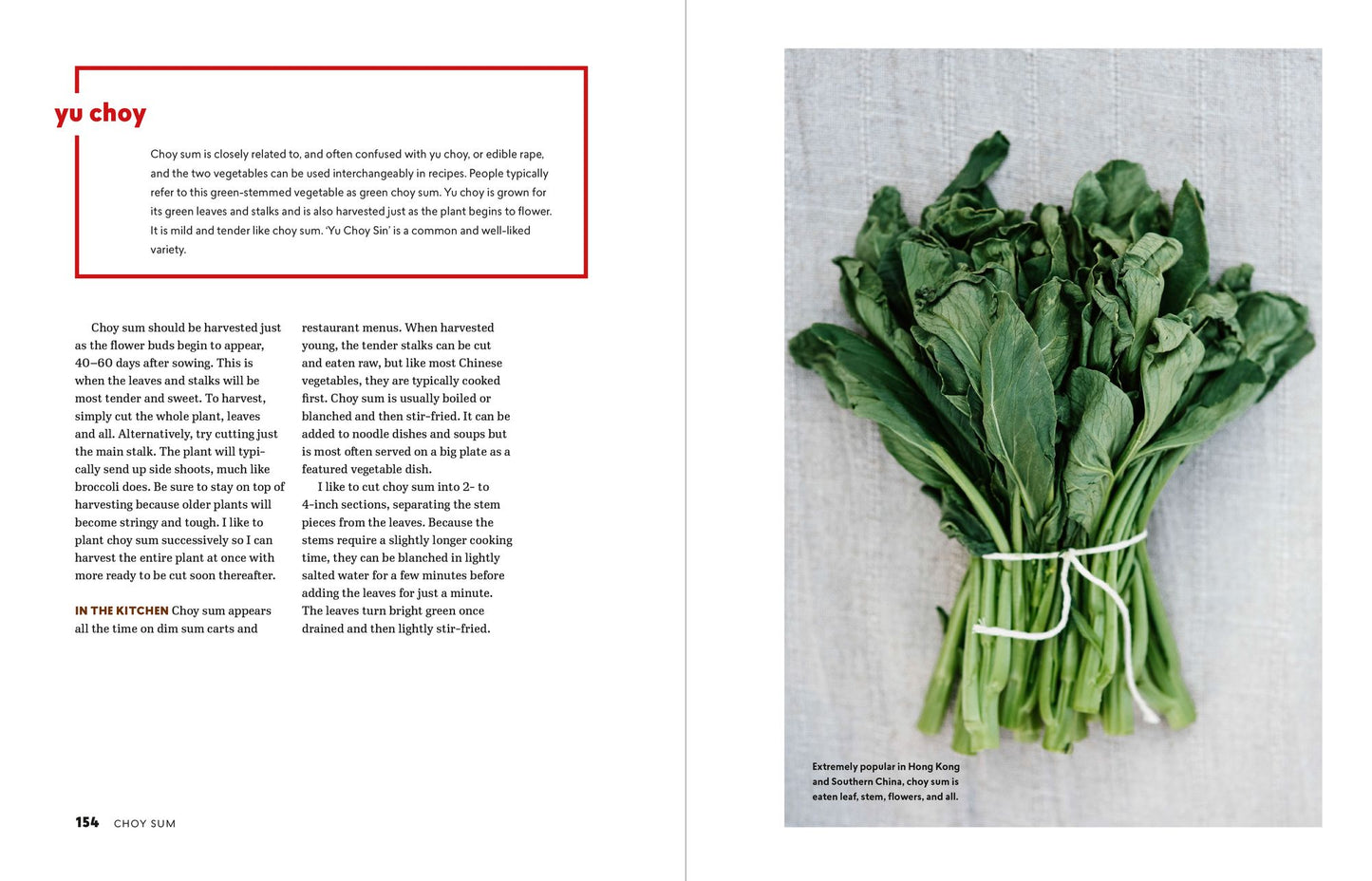 The Chinese Kitchen Garden: Growing Techniques and Family Recipes from a Classic Cuisine