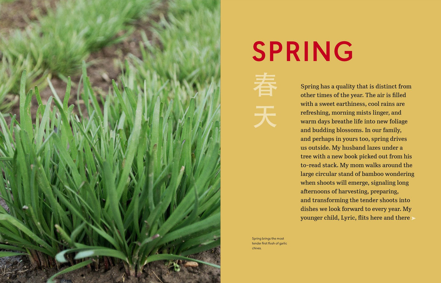 The Chinese Kitchen Garden: Growing Techniques and Family Recipes from a Classic Cuisine