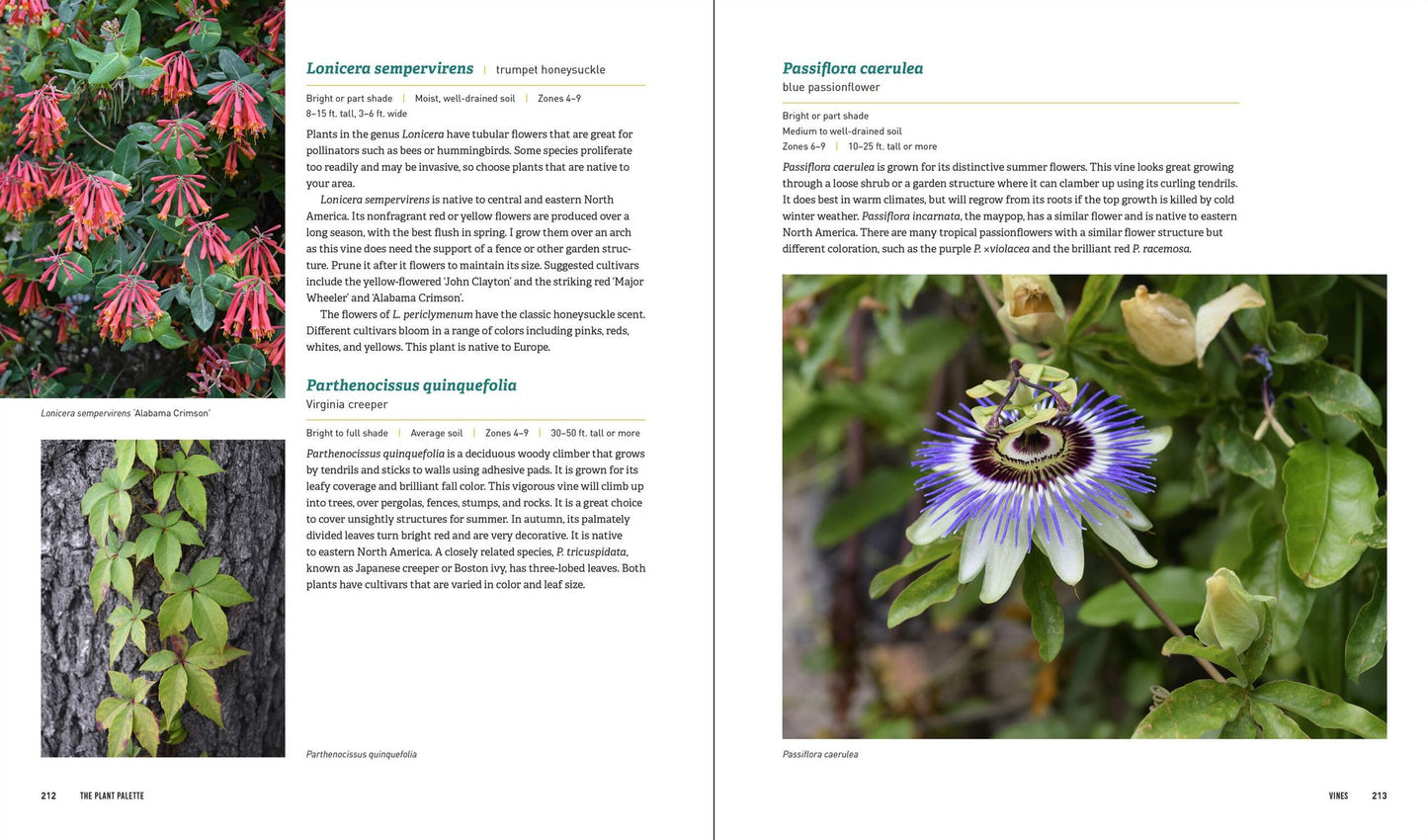 Glorious Shade: Dazzling Plants, Design Ideas, and Proven Techniques for Your Shady Garden