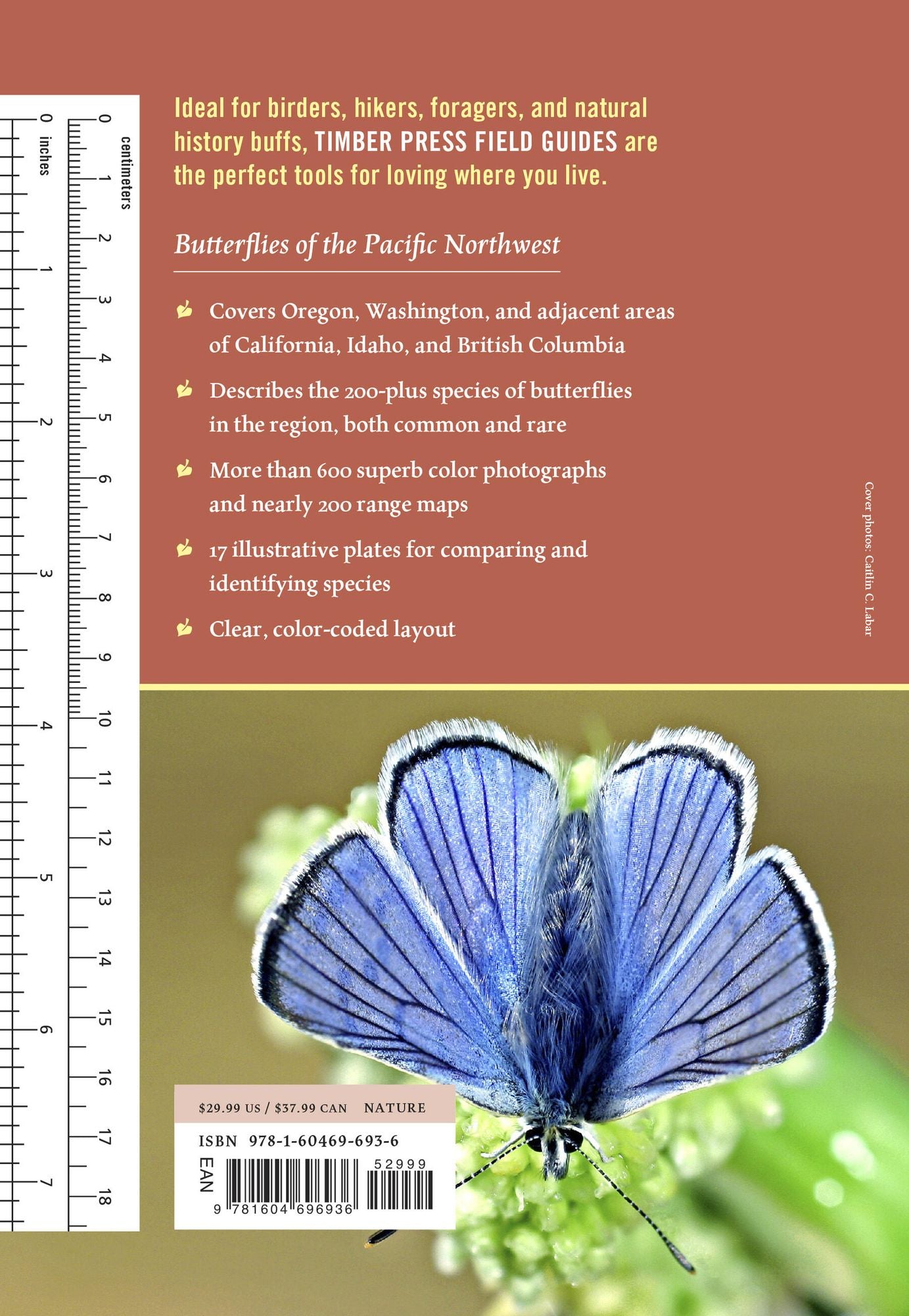 Butterflies of the Pacific Northwest