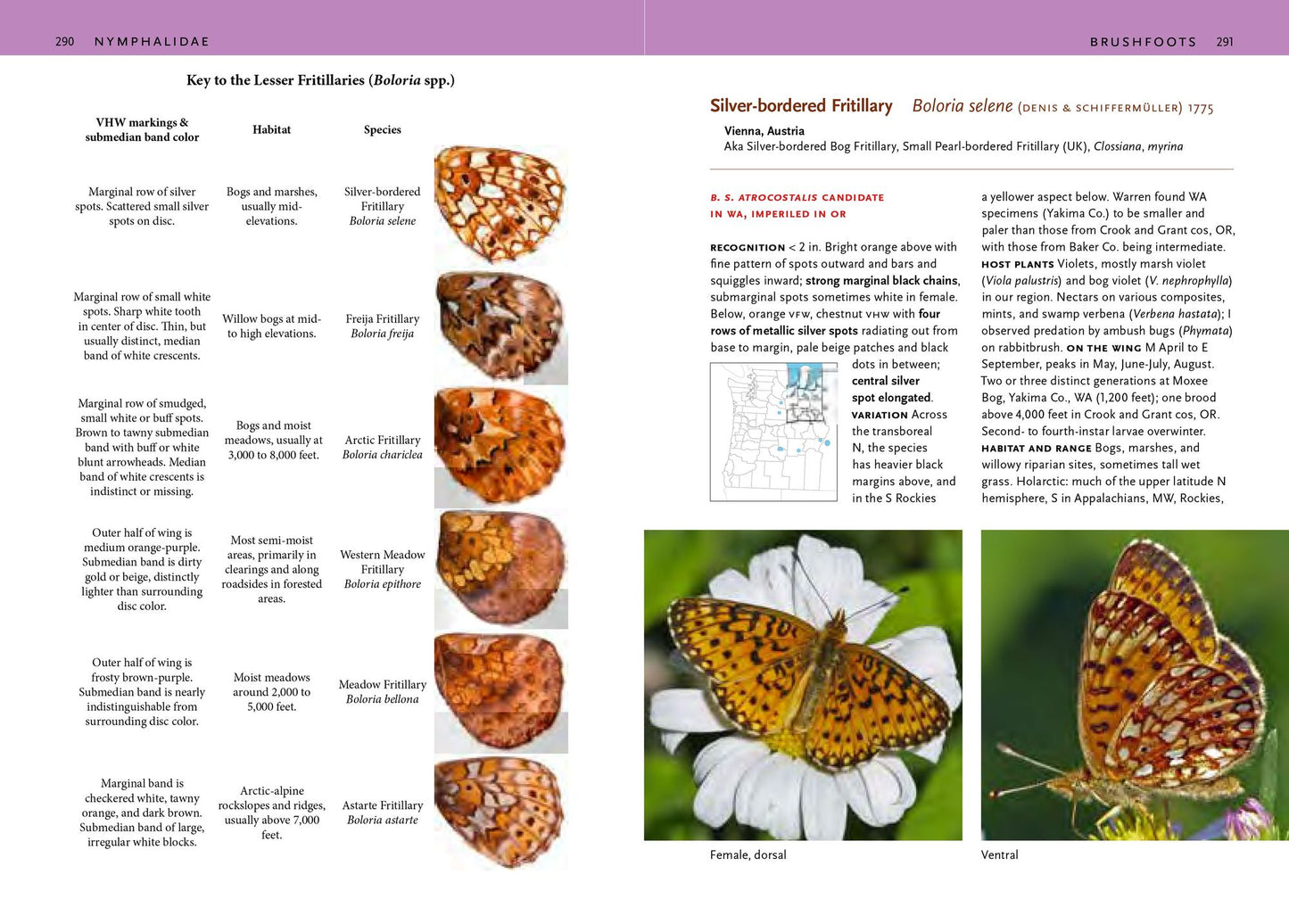 Butterflies of the Pacific Northwest