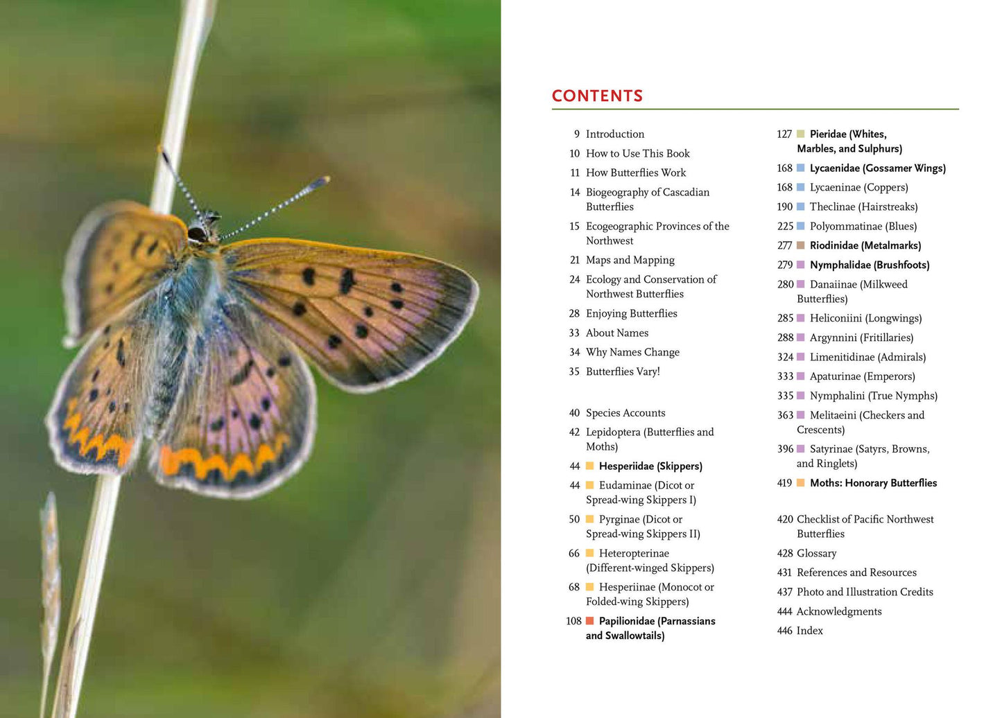 Butterflies of the Pacific Northwest