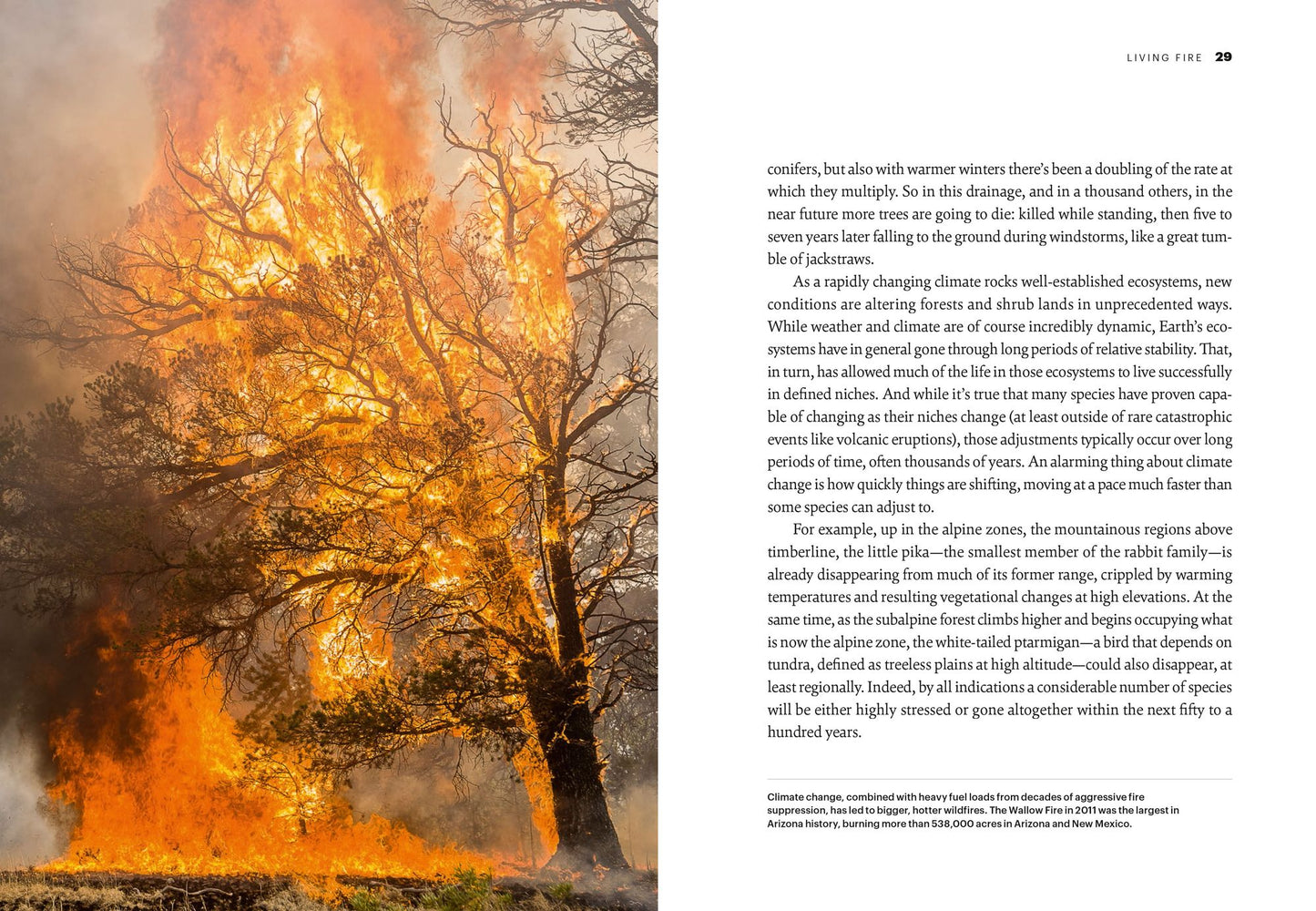Land on Fire: The New Reality of Wildfire in the West