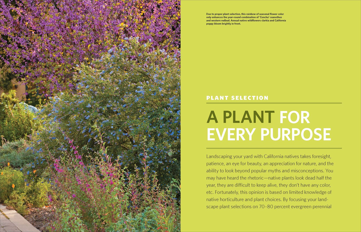 The Drought-Defying California Garden: 230 Native Plants for a Lush, Low-Water Landscape