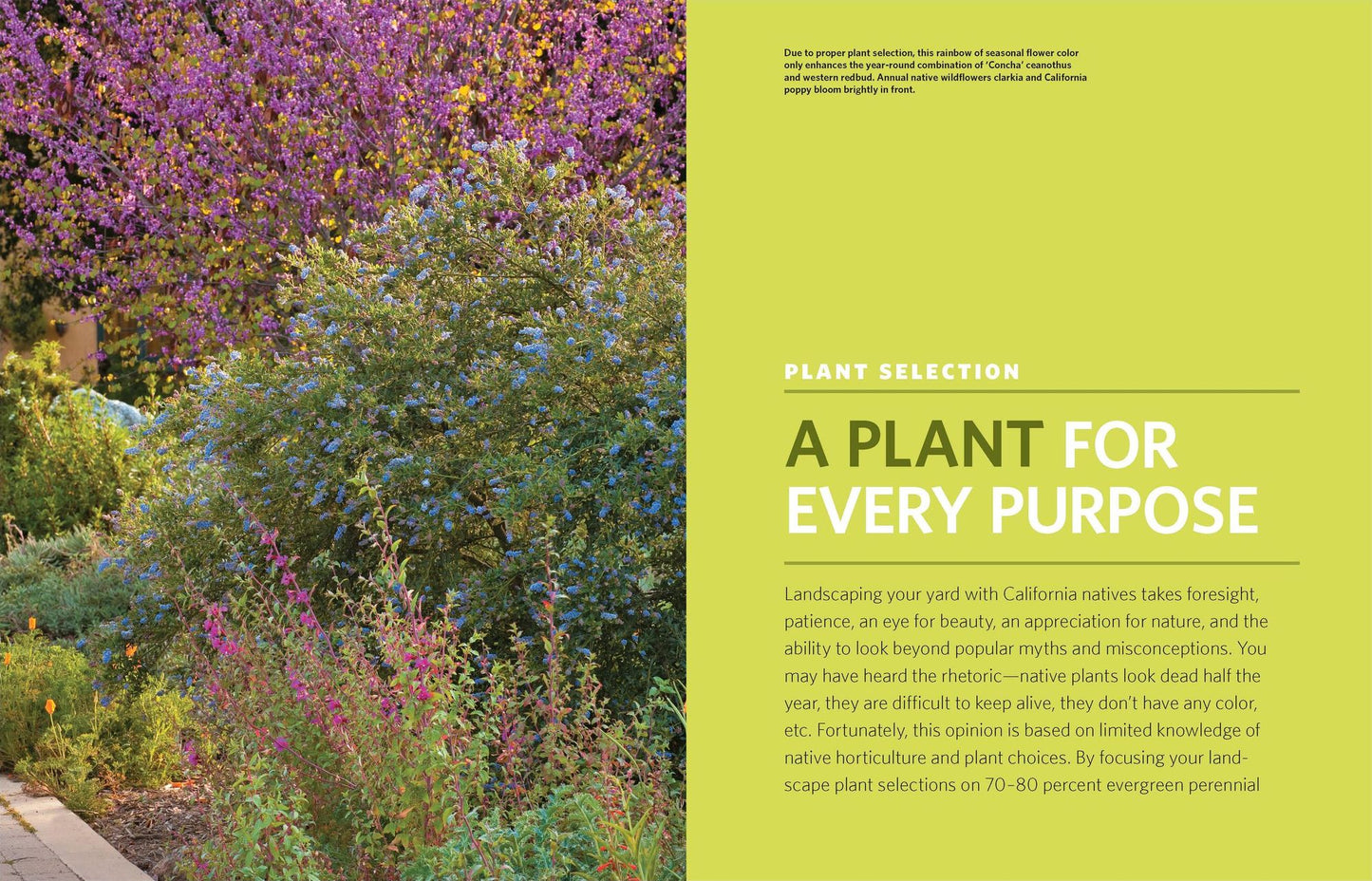 The Drought-Defying California Garden: 230 Native Plants for a Lush, Low-Water Landscape