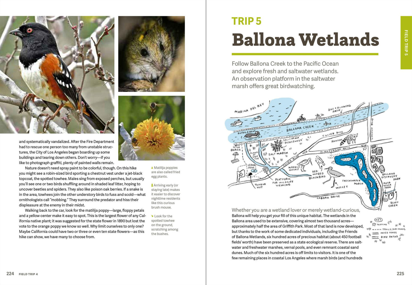 Wild LA : Explore the Amazing Nature in and Around Los Angeles