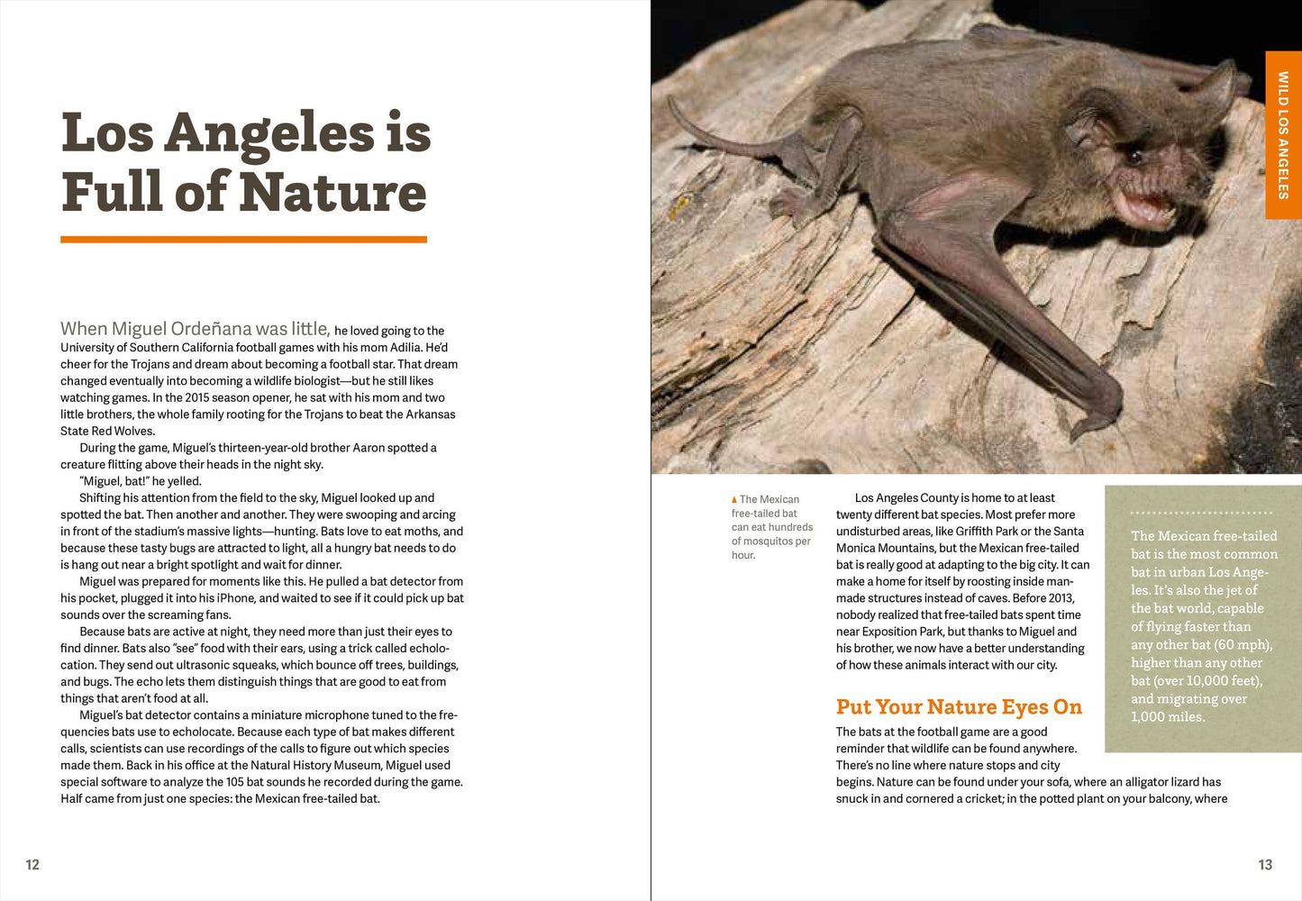 Wild LA : Explore the Amazing Nature in and Around Los Angeles