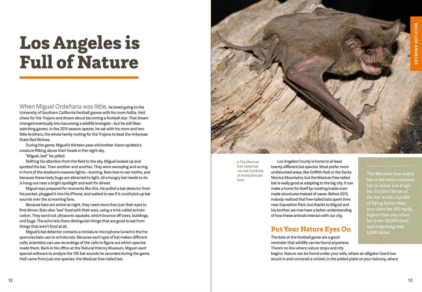 Wild LA : Explore the Amazing Nature in and Around Los Angeles
