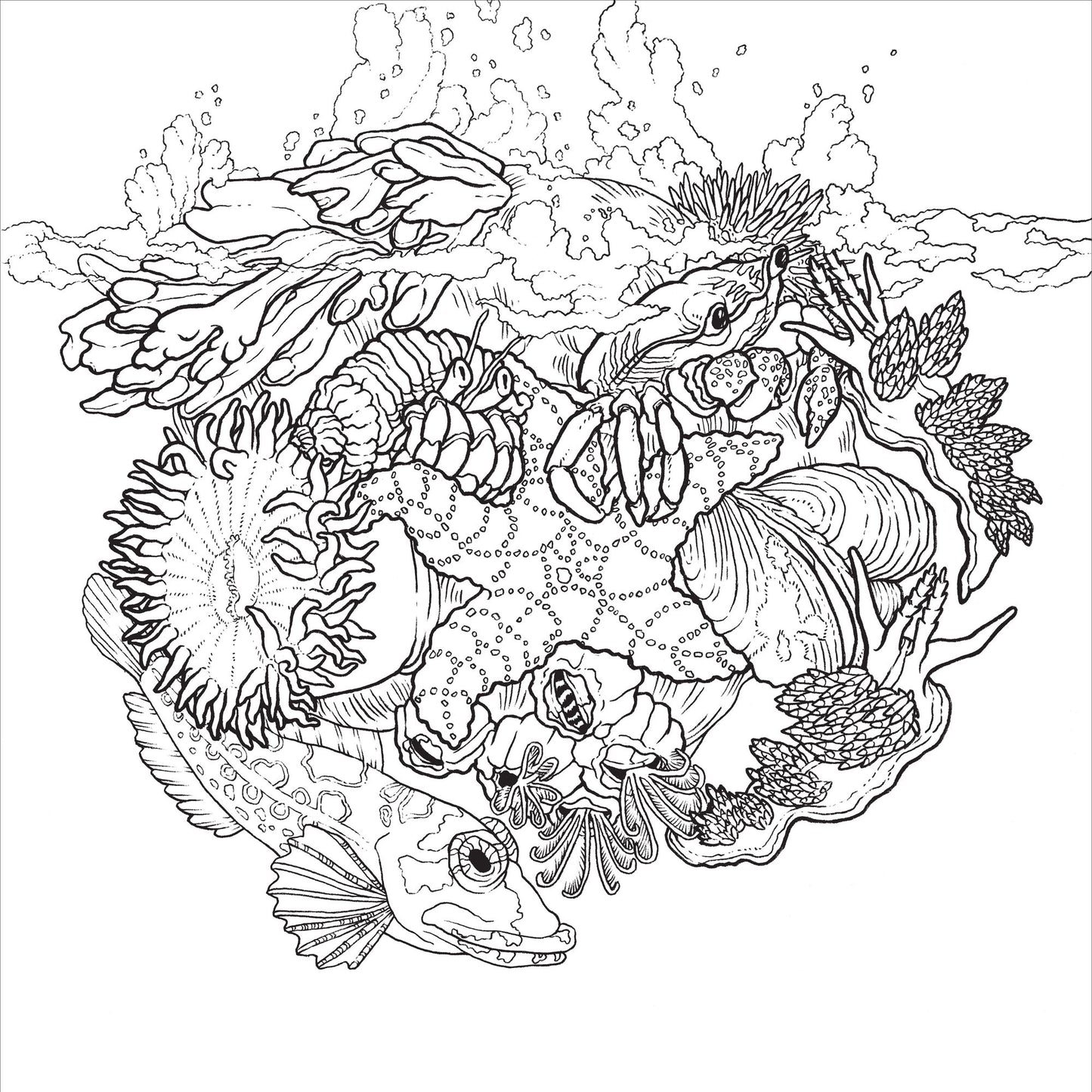 Color the Natural World: A Timber Press Coloring Book