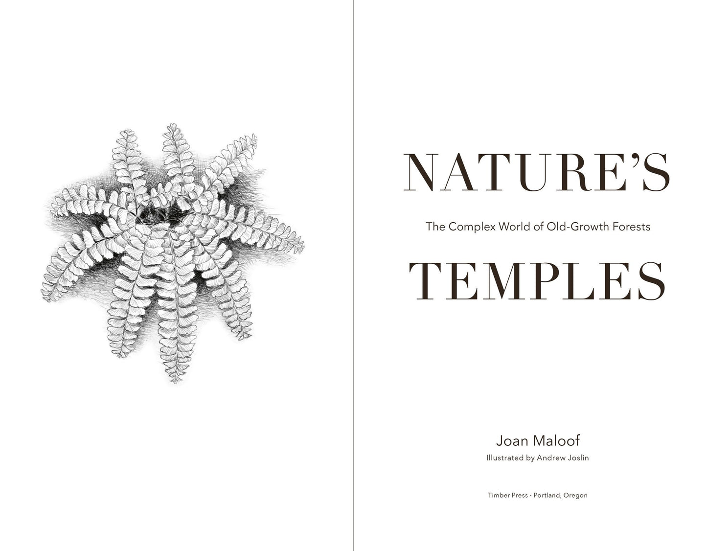 Nature's Temples: The Complex World of Old-Growth Forests