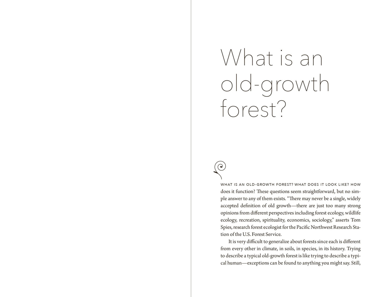 Nature's Temples: The Complex World of Old-Growth Forests