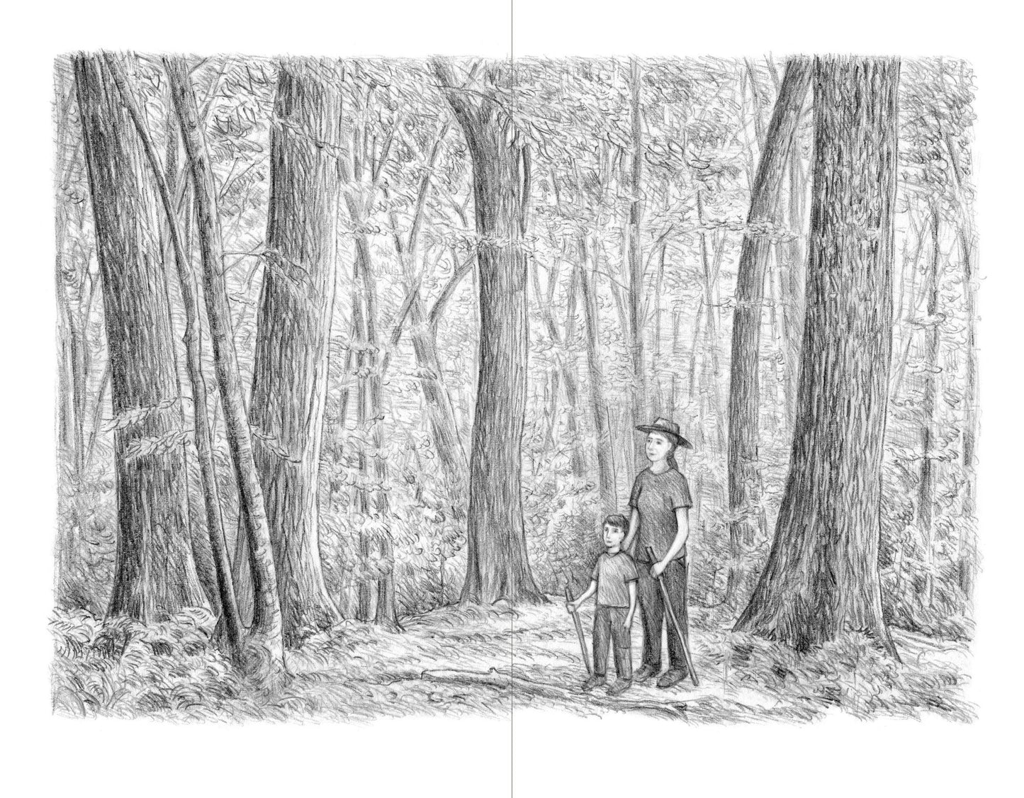 Nature's Temples: The Complex World of Old-Growth Forests