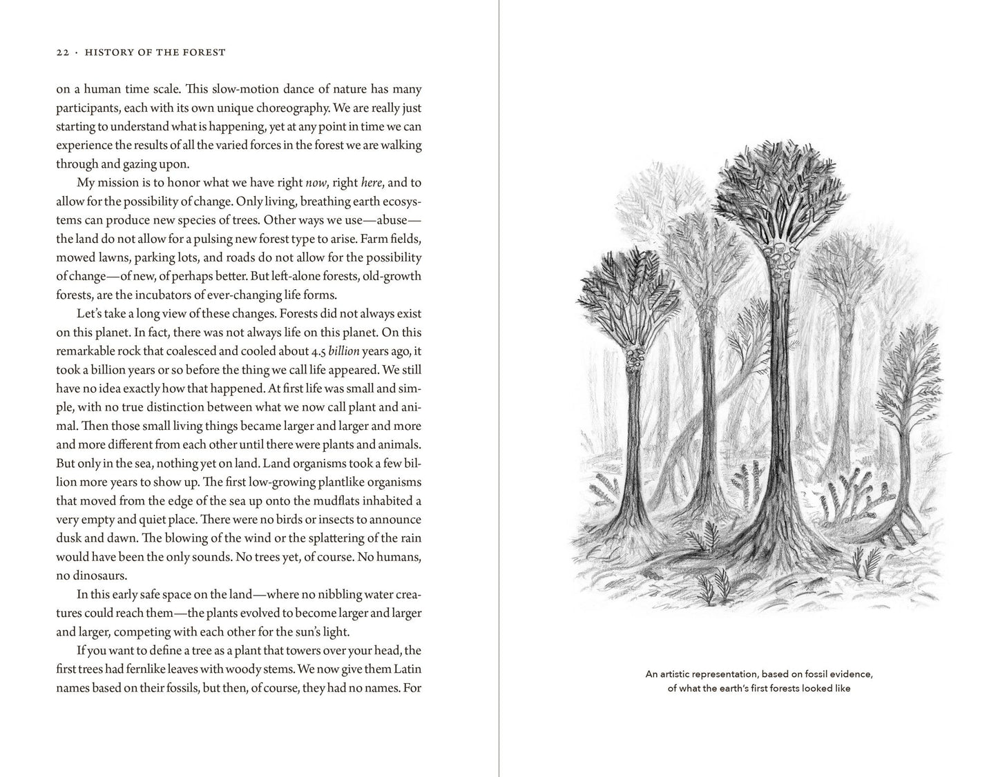 Nature's Temples: The Complex World of Old-Growth Forests