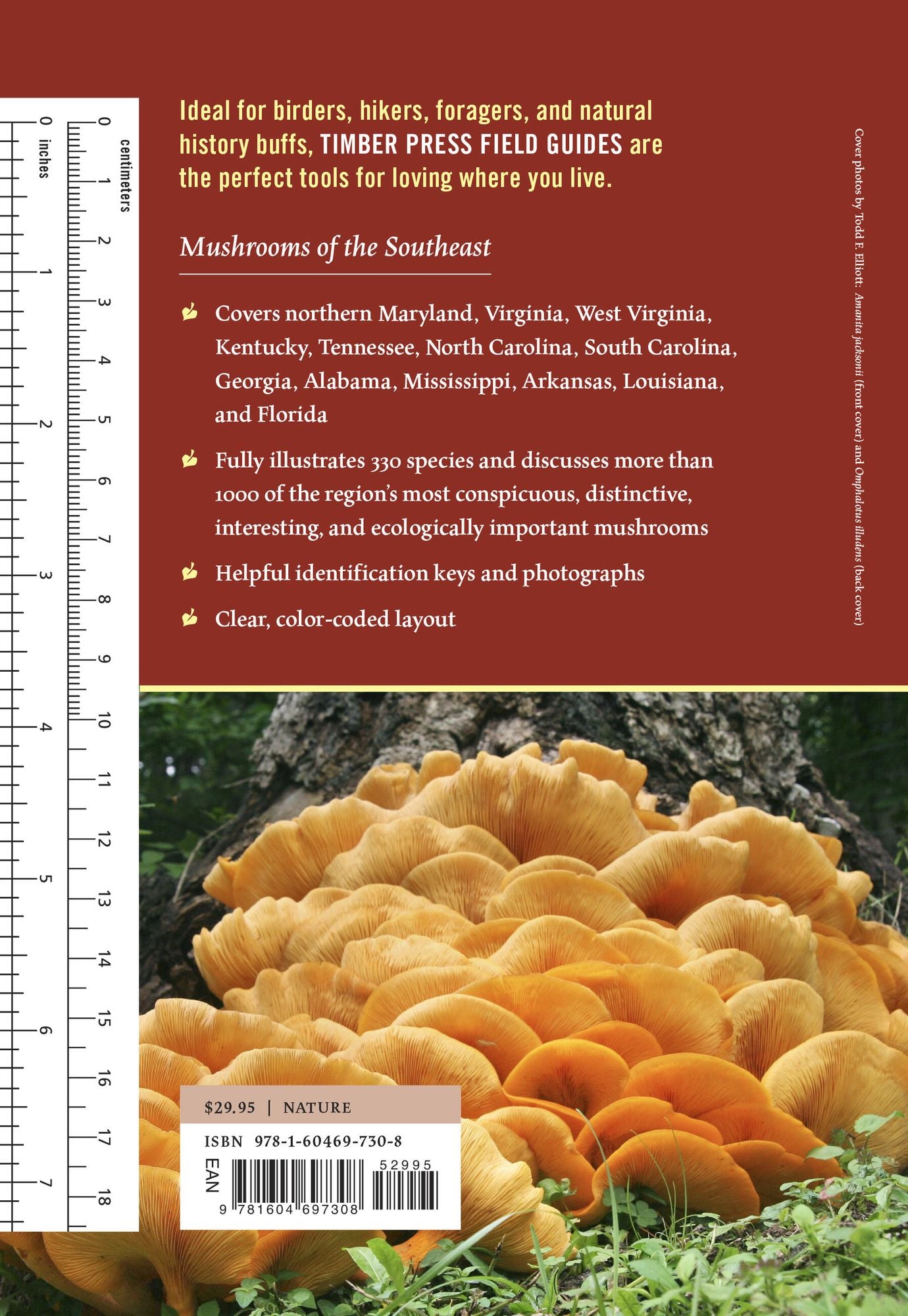 Mushrooms of the Southeast