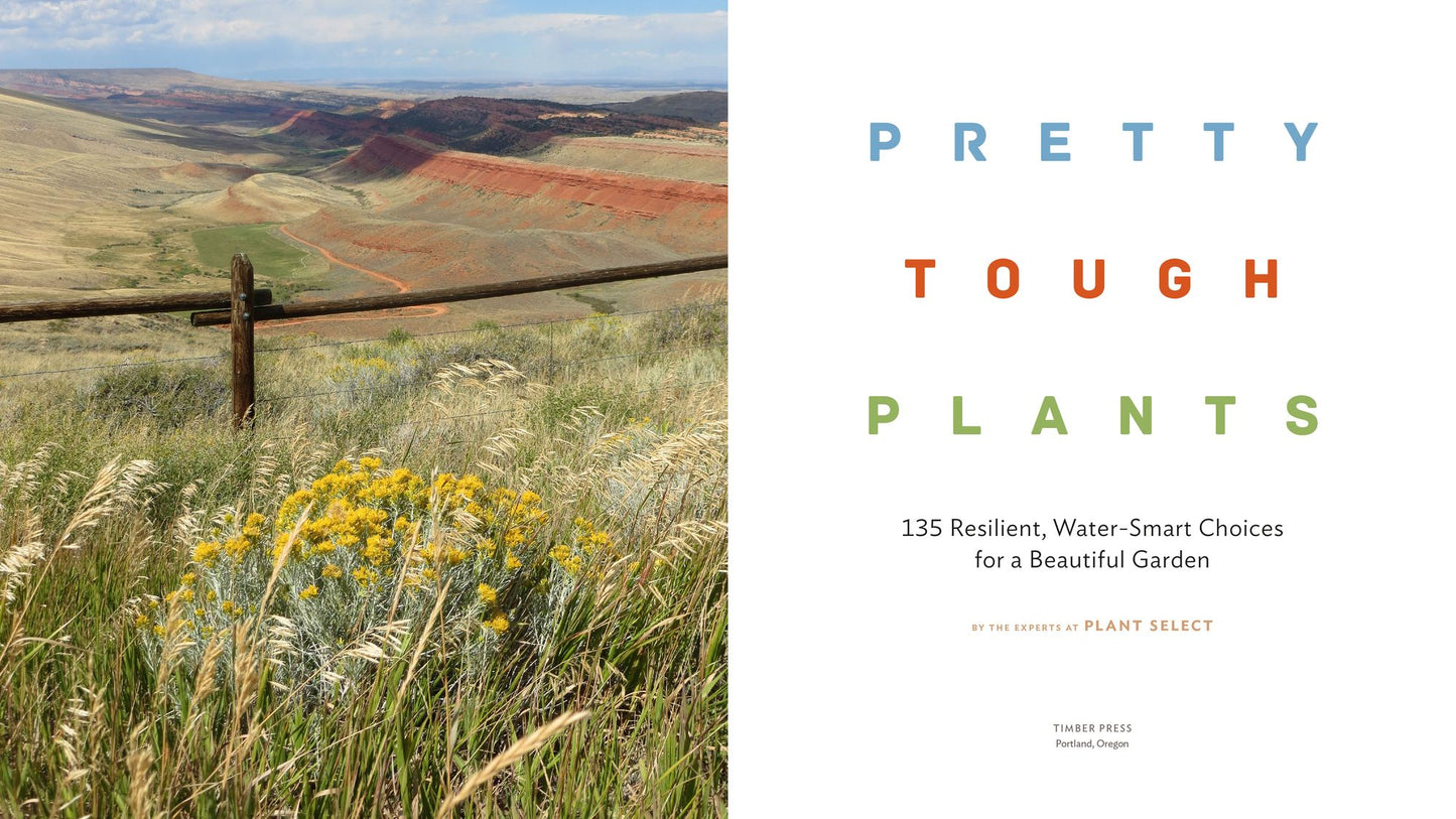 Pretty Tough Plants: 135 Resilient, Water-Smart Choices for a Beautiful Garden