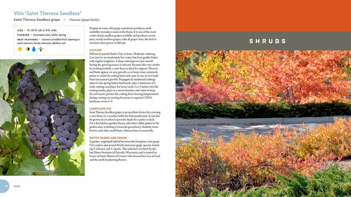 Pretty Tough Plants: 135 Resilient, Water-Smart Choices for a Beautiful Garden