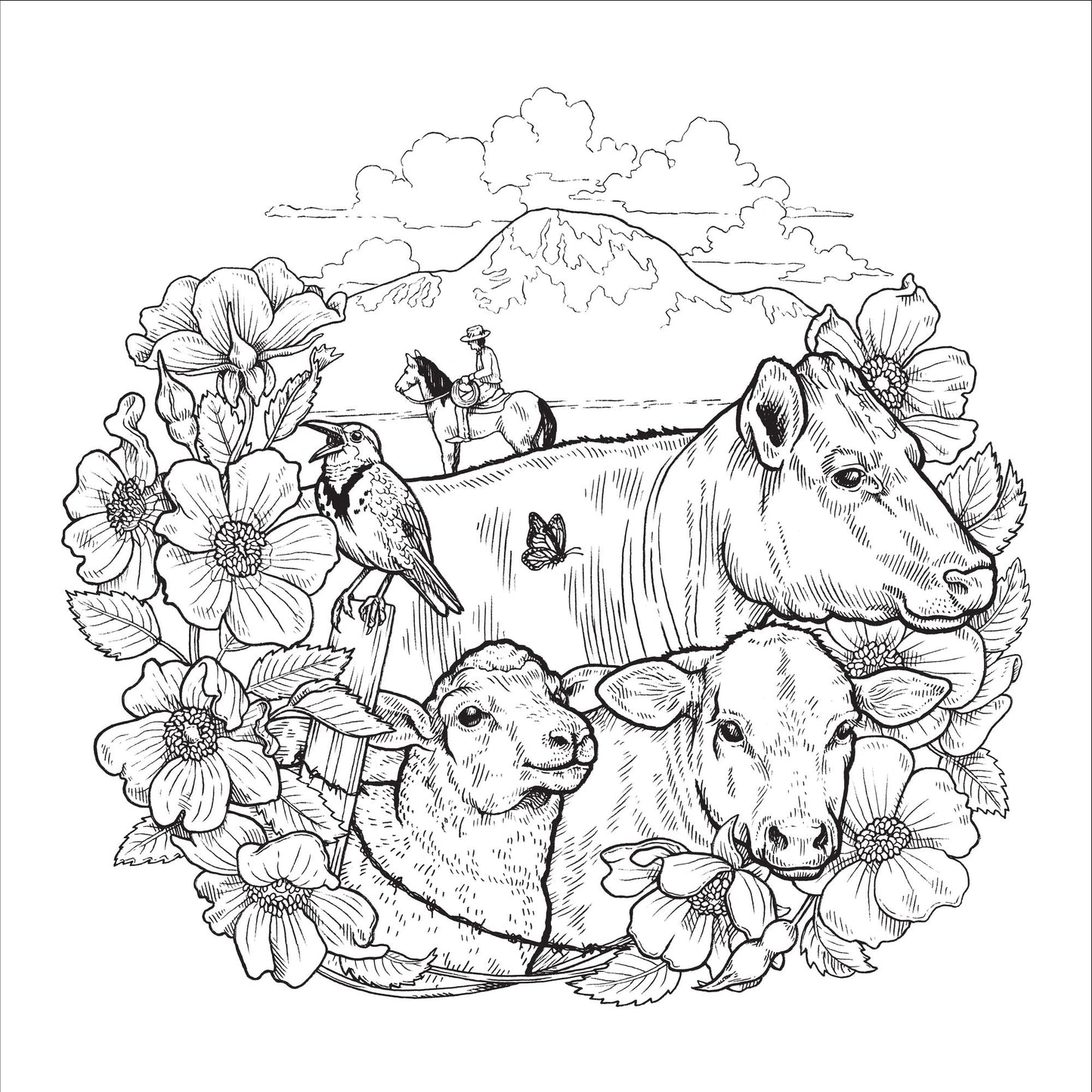 Color the Pacific Northwest: A Timber Press Coloring Book