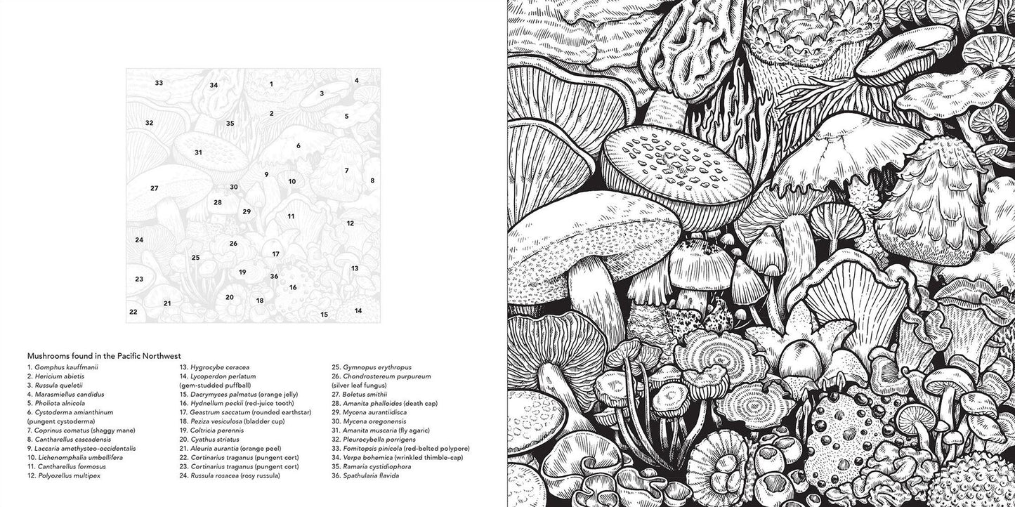 Color the Pacific Northwest: A Timber Press Coloring Book
