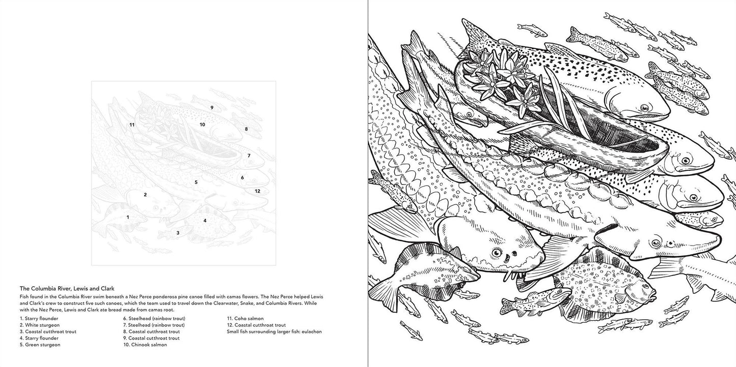 Color the Pacific Northwest: A Timber Press Coloring Book