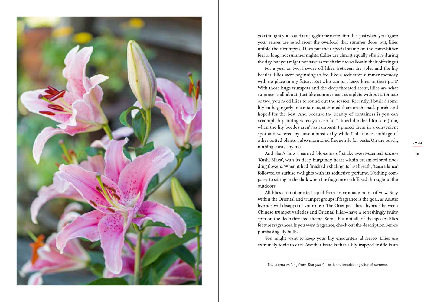 The Garden in Every Sense and Season