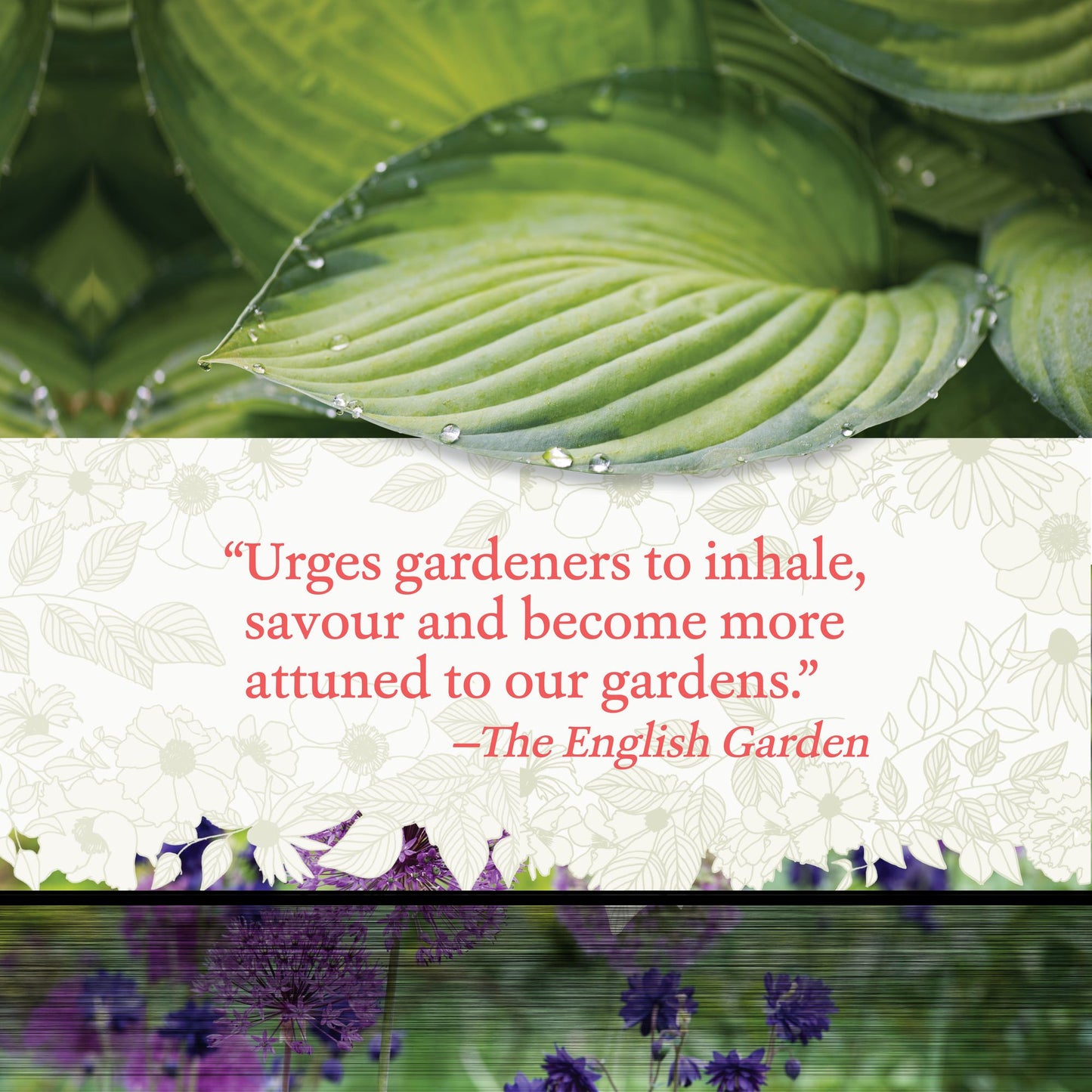 The Garden in Every Sense and Season
