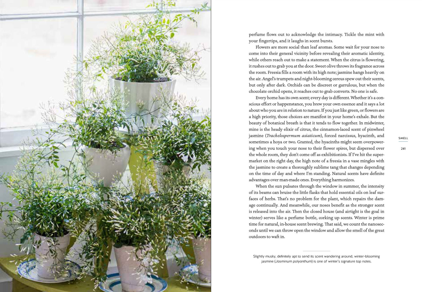 The Garden in Every Sense and Season
