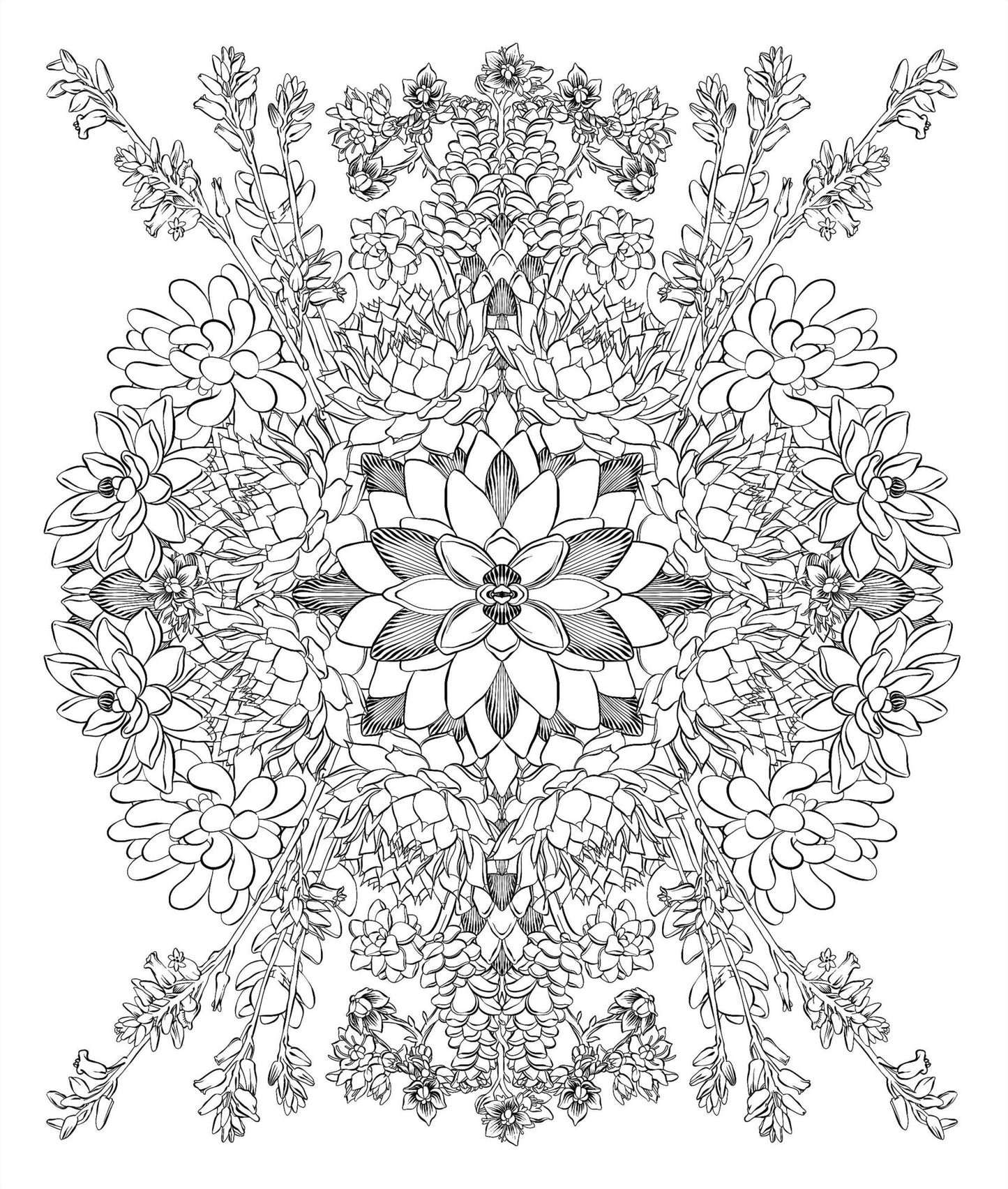 Sensational Succulents: An Adult Coloring Book of Amazing Shapes and Magical Patterns