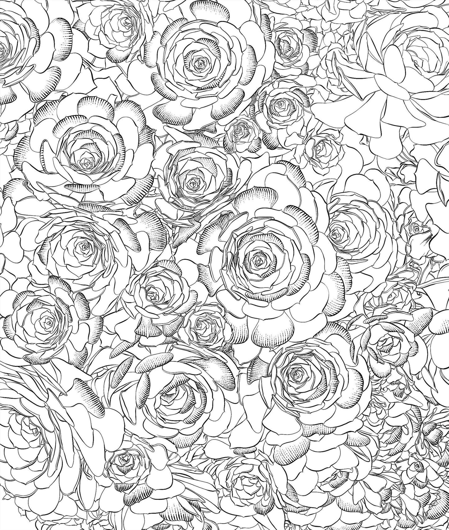 Sensational Succulents: An Adult Coloring Book of Amazing Shapes and Magical Patterns
