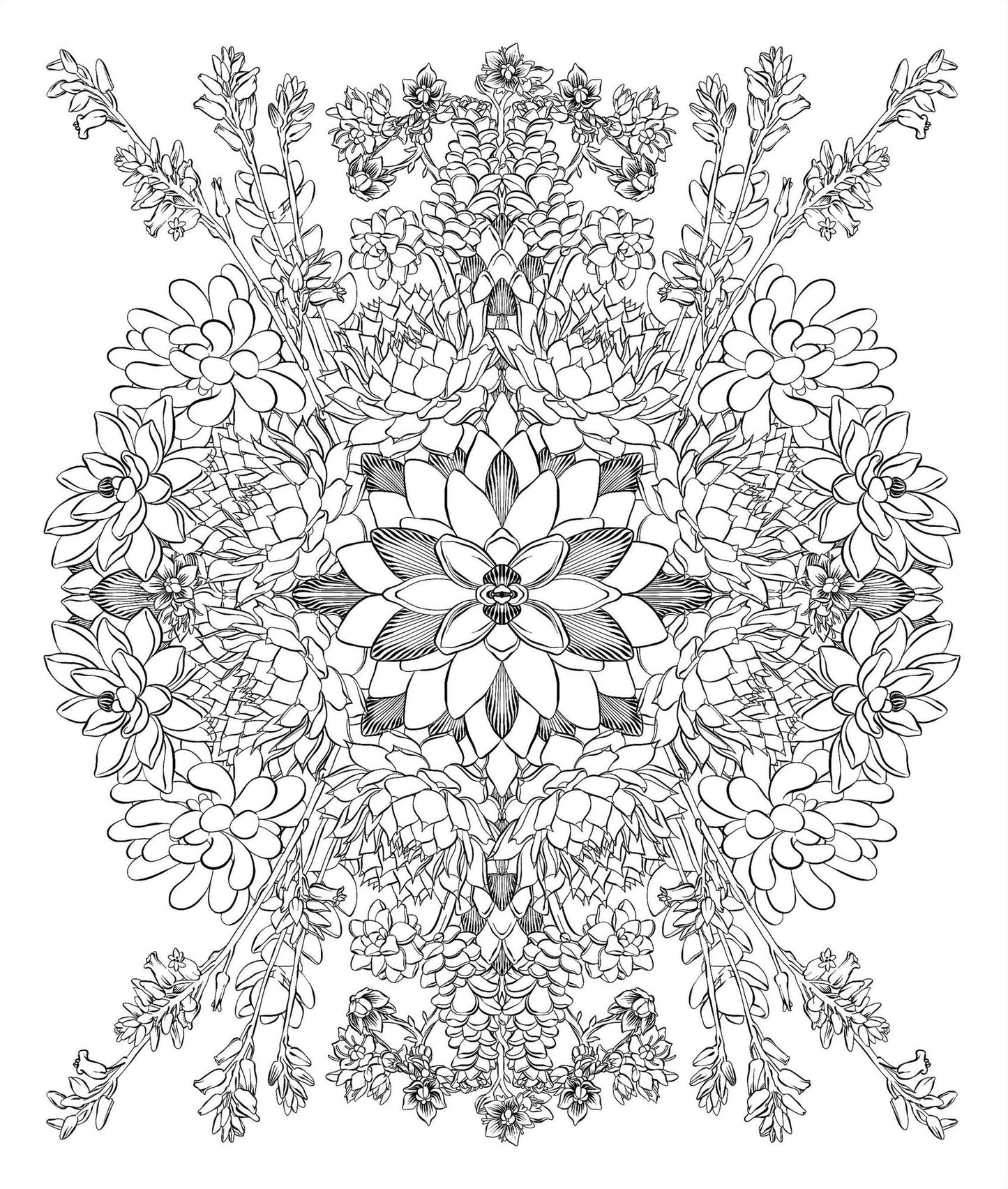 Sensational Succulents: An Adult Coloring Book of Amazing Shapes and Magical Patterns