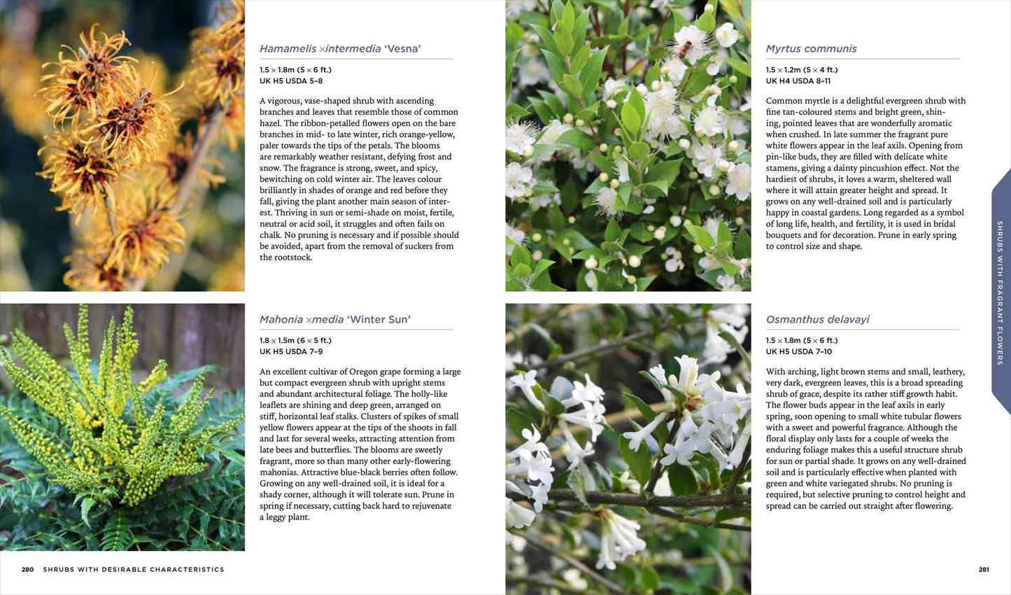 Shrubs: From Abelia to Weigela, Hundreds of Amazing Shrubs for Every Place and Purpose in Your Garden