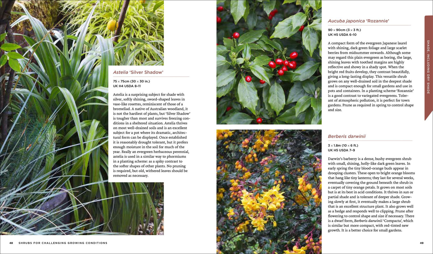 Shrubs: From Abelia to Weigela, Hundreds of Amazing Shrubs for Every Place and Purpose in Your Garden