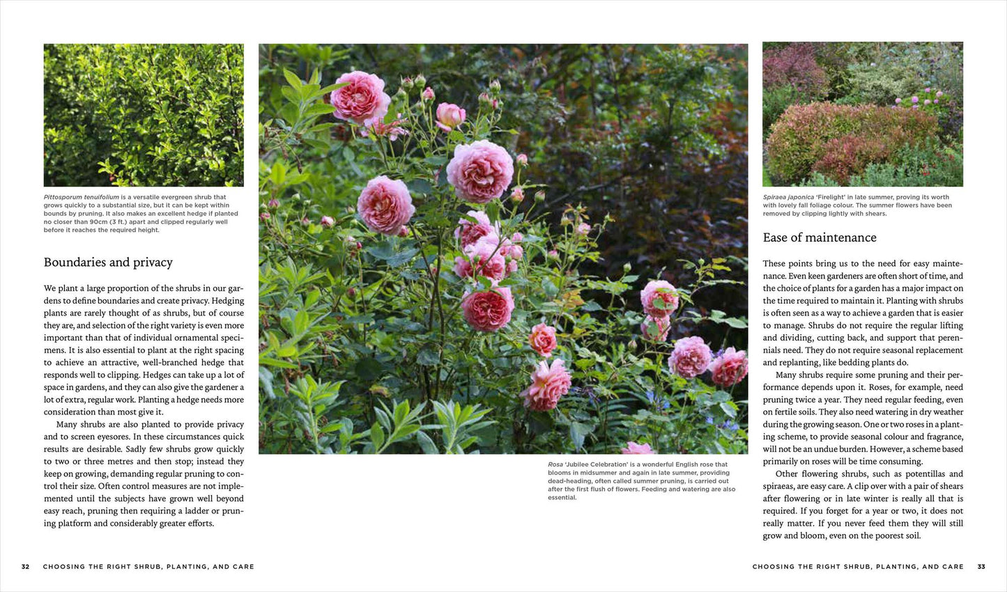 Shrubs: From Abelia to Weigela, Hundreds of Amazing Shrubs for Every Place and Purpose in Your Garden