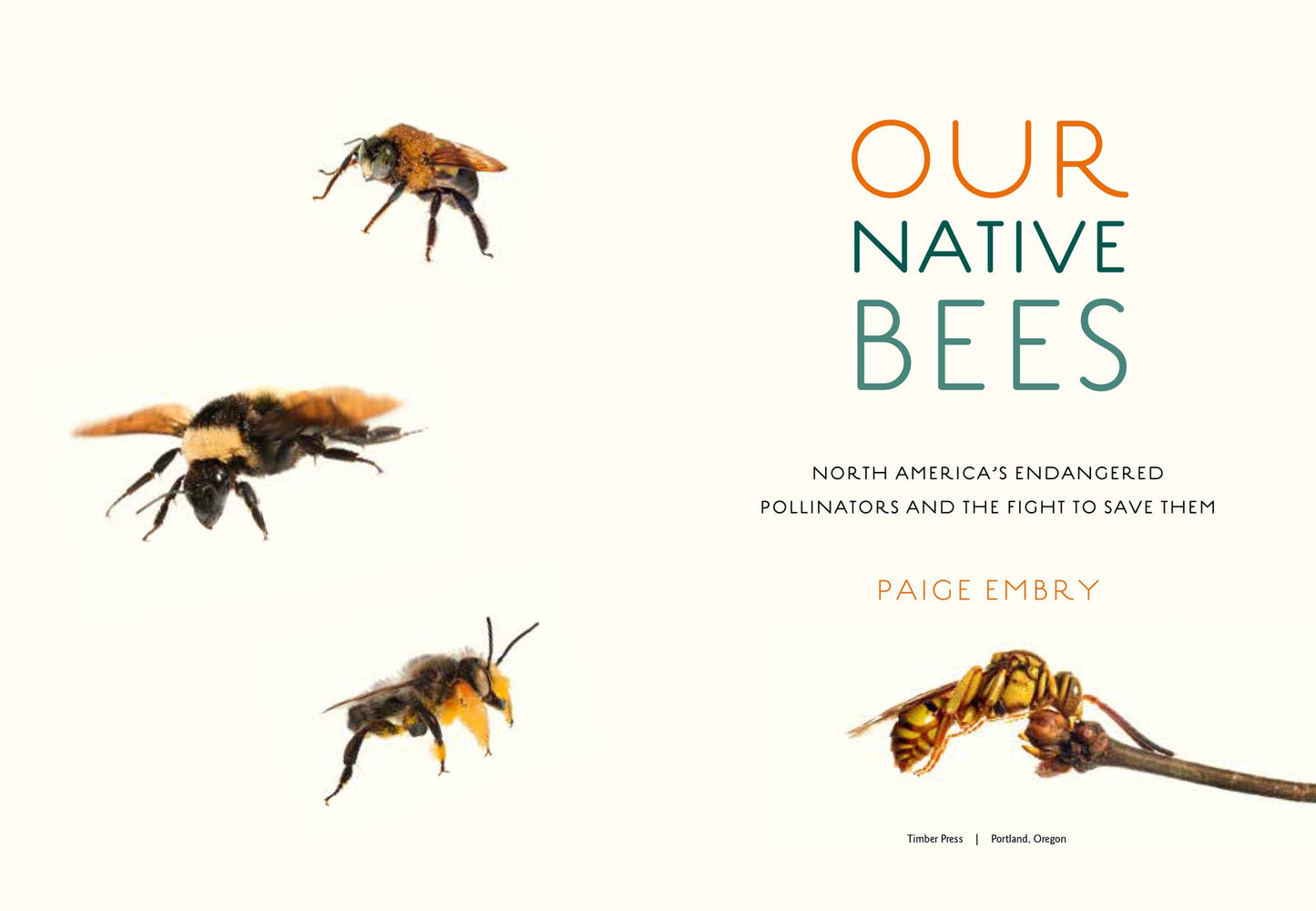 Our Native Bees: North America's Endangered Pollinators and the Fight to Save Them