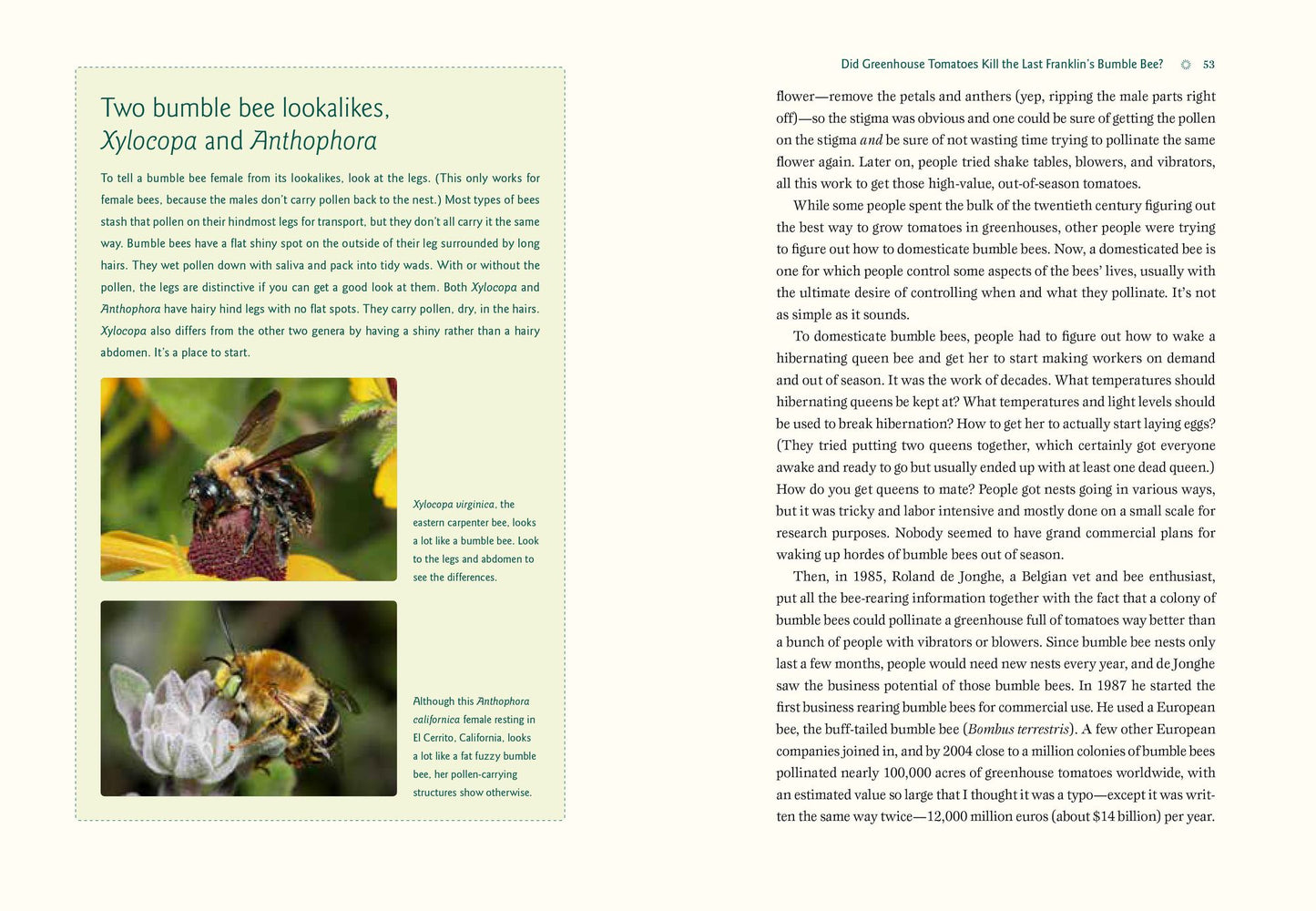Our Native Bees: North America's Endangered Pollinators and the Fight to Save Them
