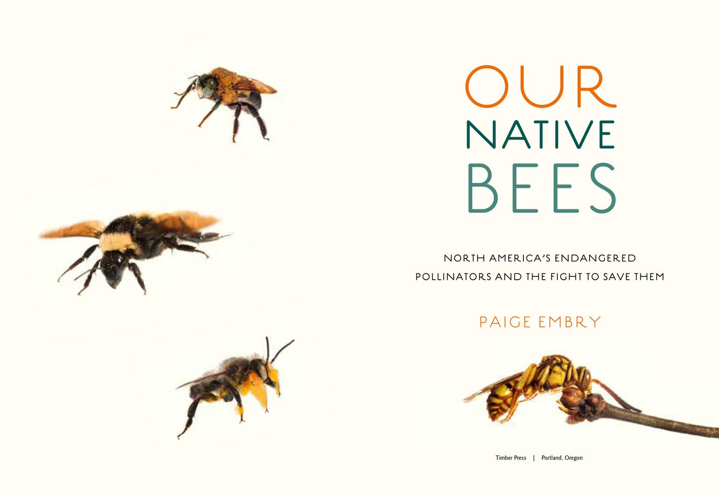 Our Native Bees: North America's Endangered Pollinators and the Fight to Save Them