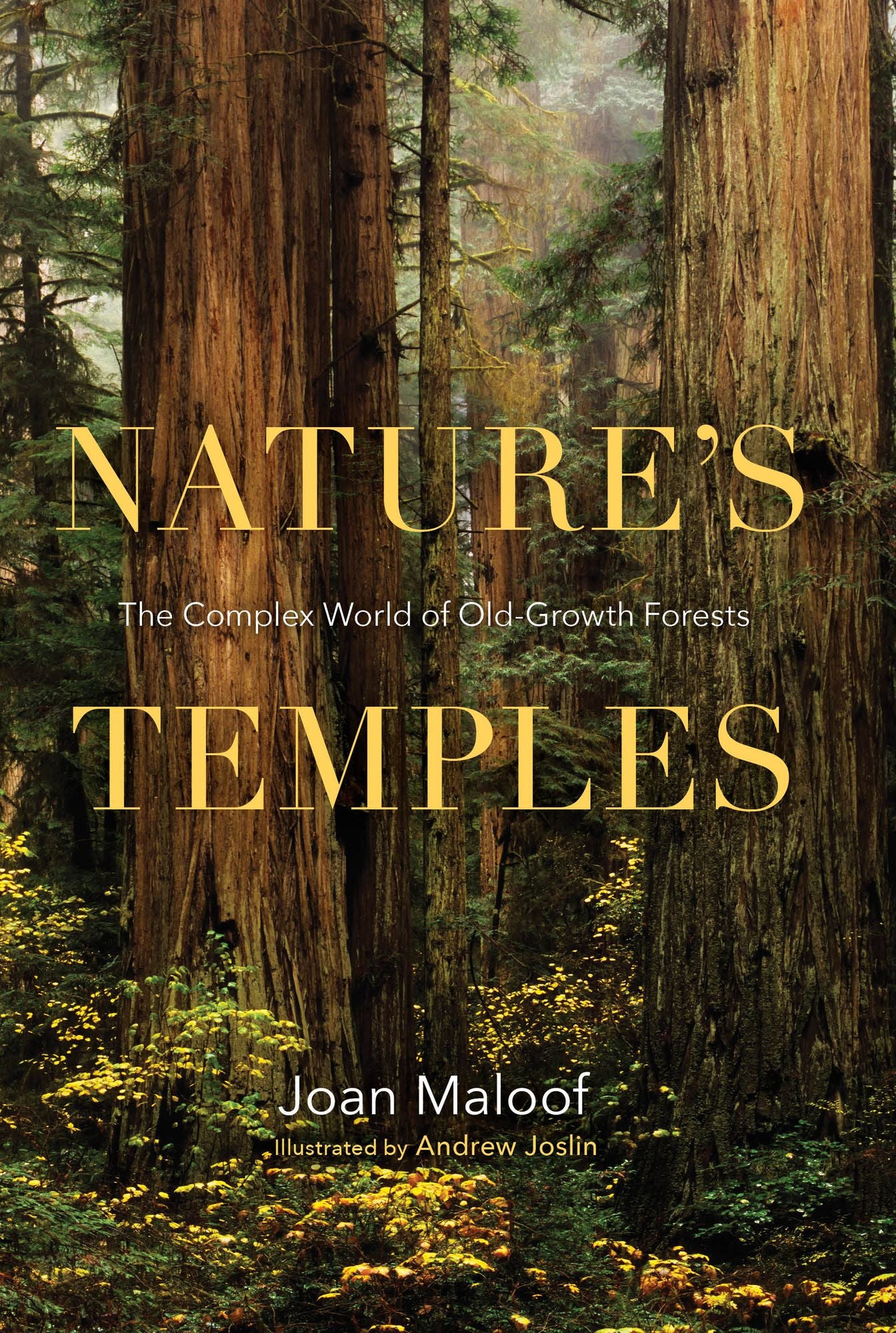 Nature's Temples: The Complex World of Old-Growth Forests