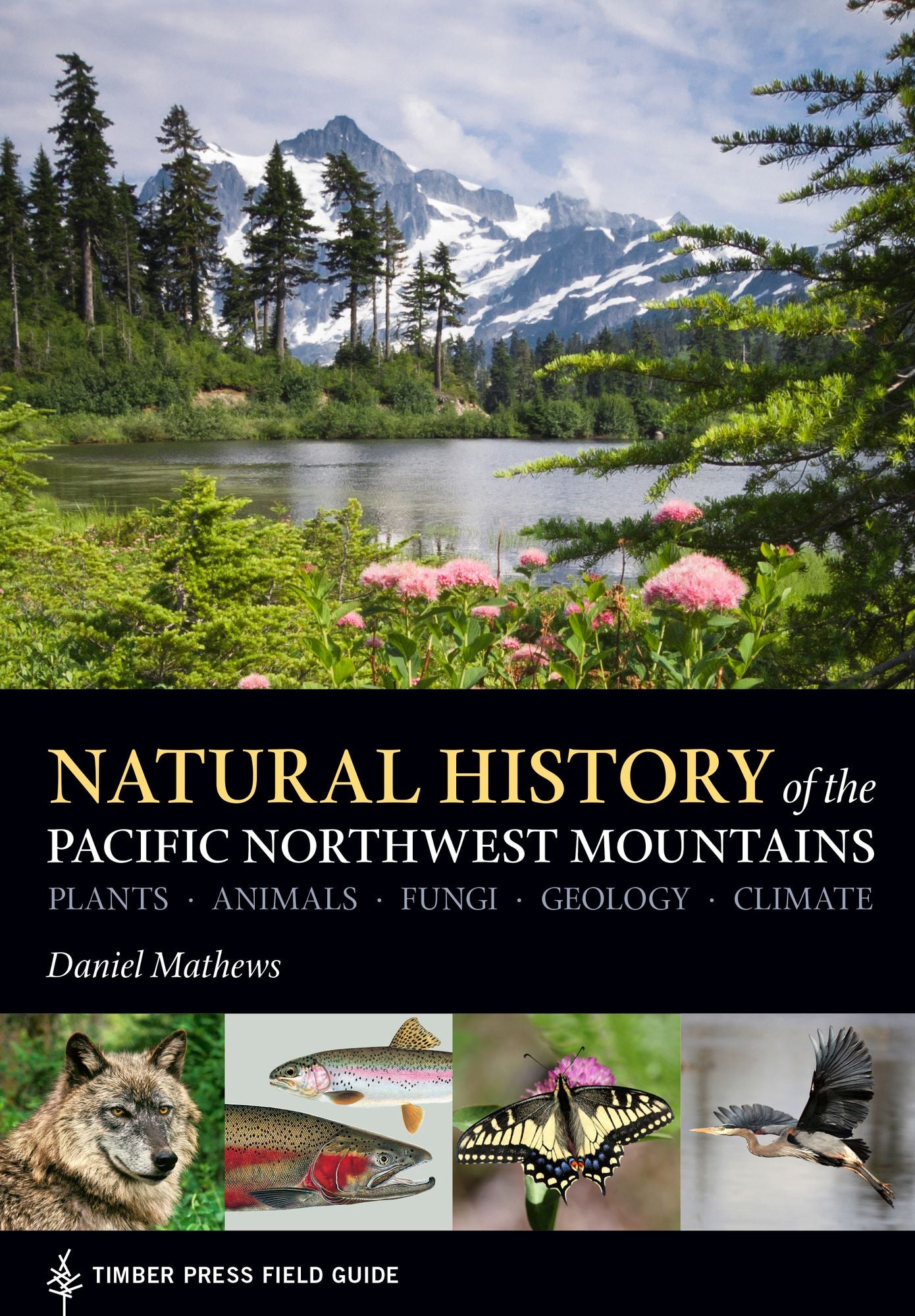 Natural History of the Pacific Northwest Mountains: Timber Press Field Guide