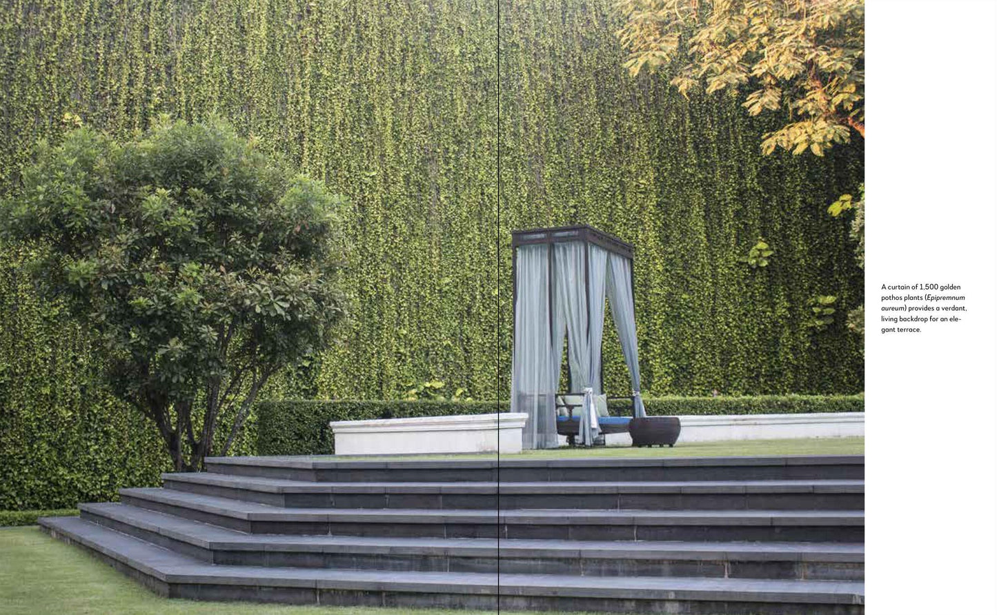 Gardenlust: A Botanical Tour of the World's Best New Gardens