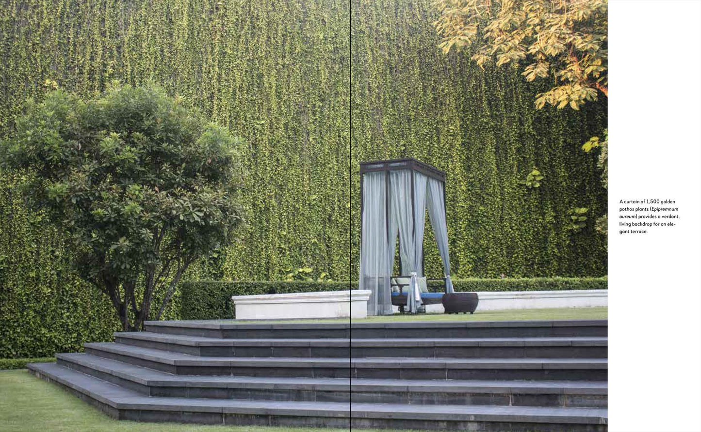Gardenlust: A Botanical Tour of the World's Best New Gardens