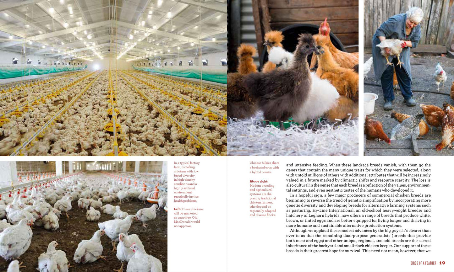 The New Rules of the Roost: Organic Care and Feeding for the Family Flock